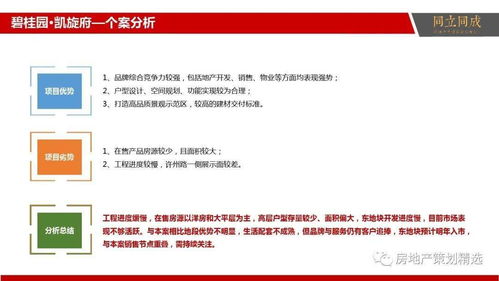 策划 房地产营销策划提案