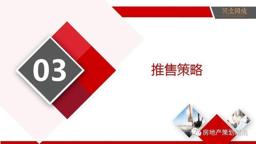 策划 房地产营销策划提案
