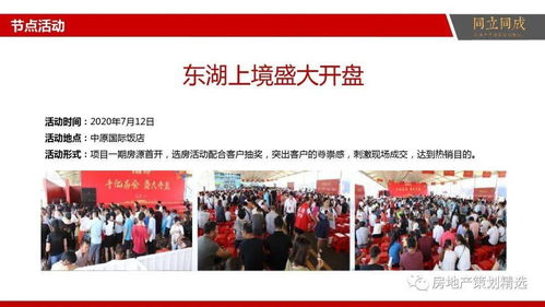 策划 房地产营销策划提案